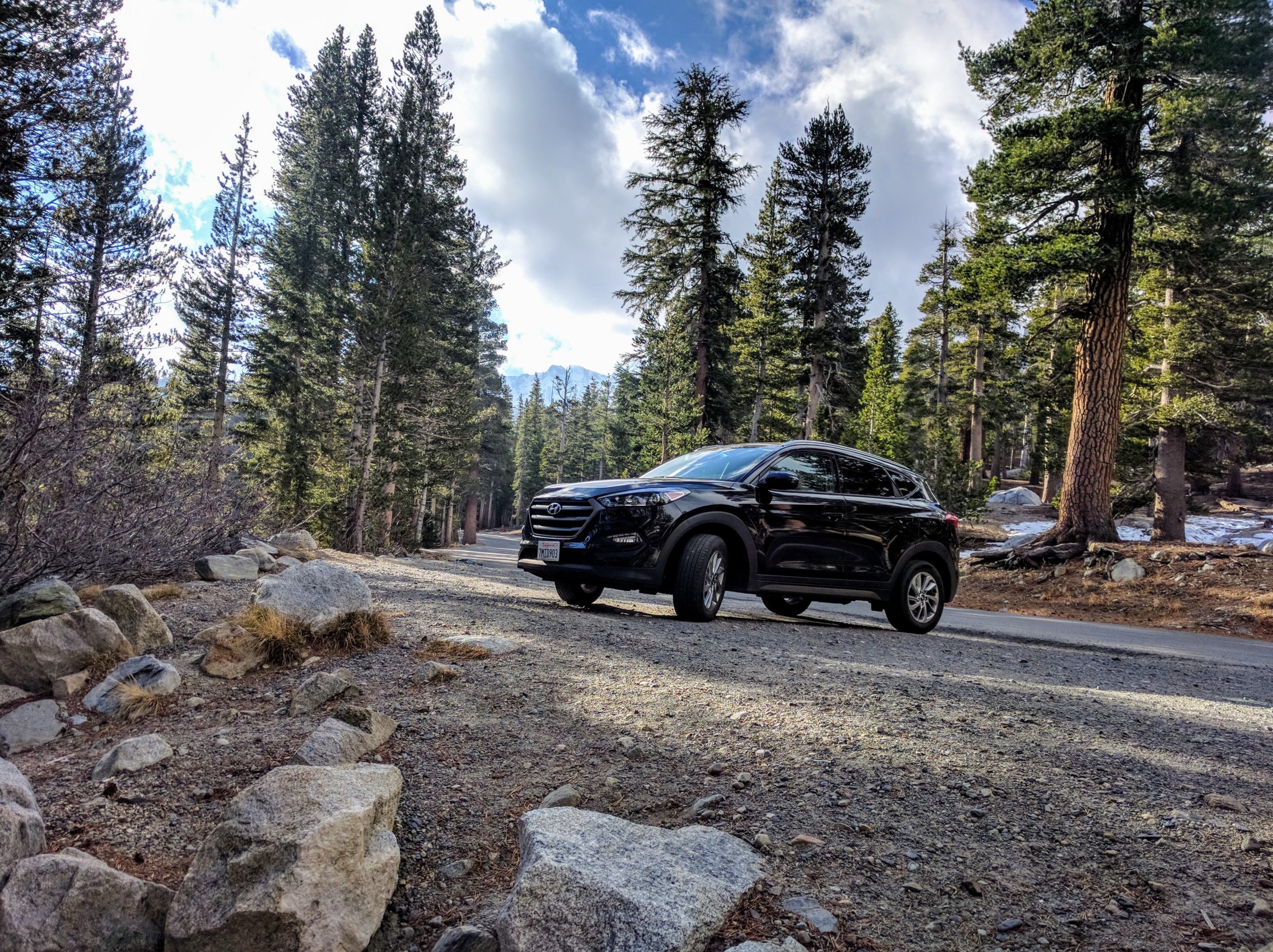 best long trip suv